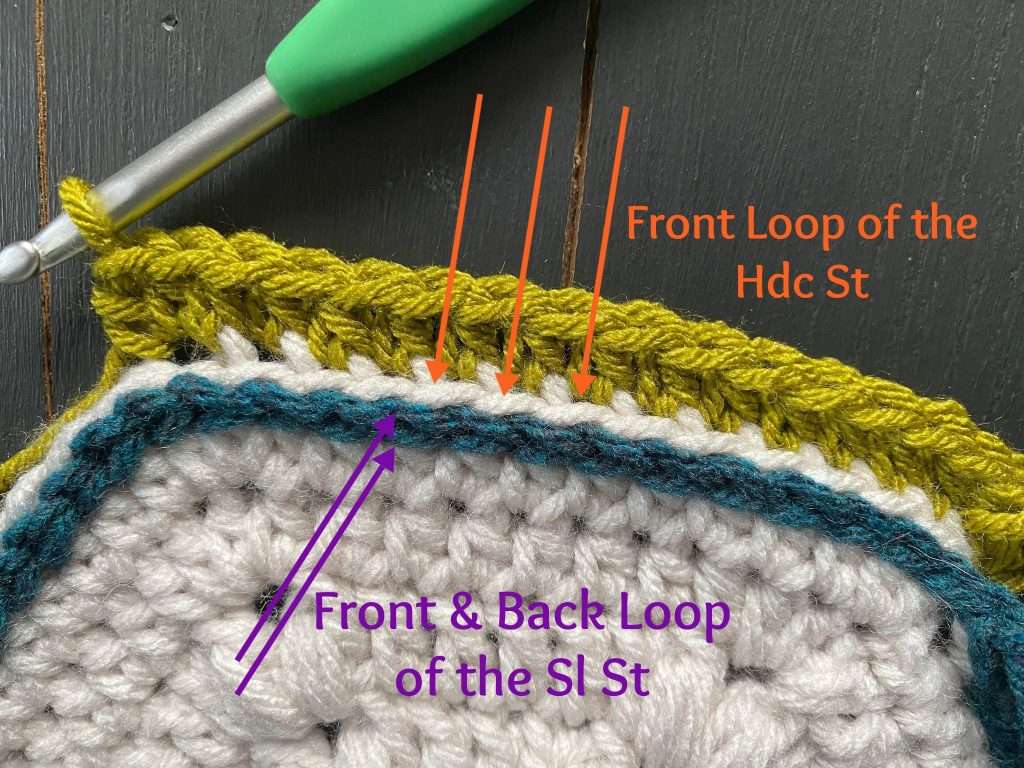 Back Loop Only Diagram