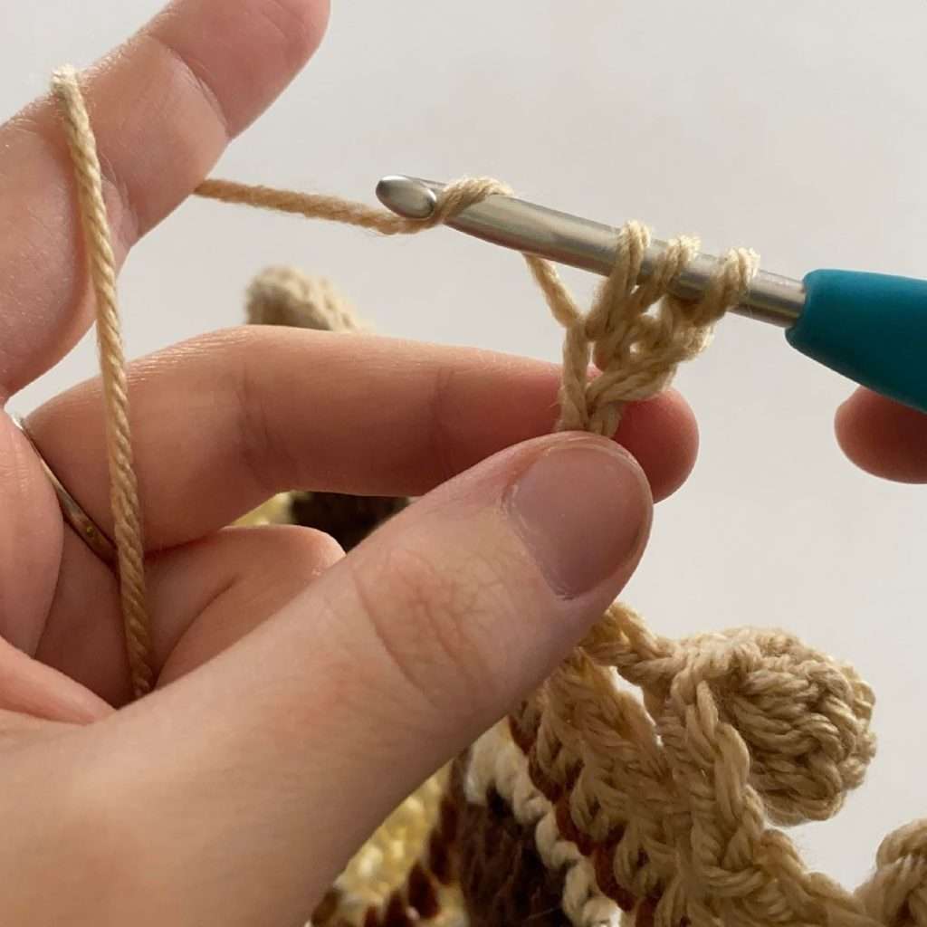 Pom Pom Blanket Border Tutorial