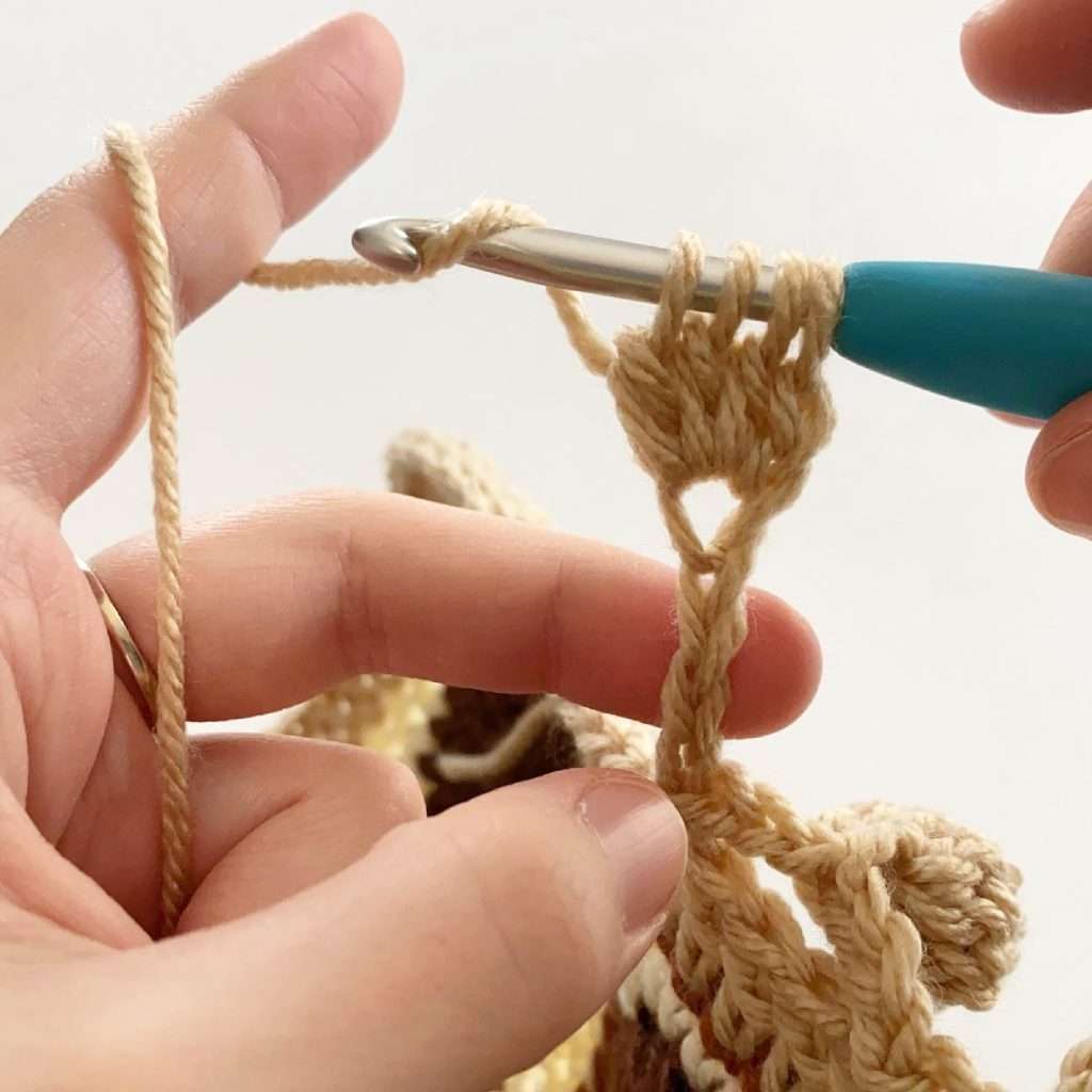 How to Crochet a Pom Pom