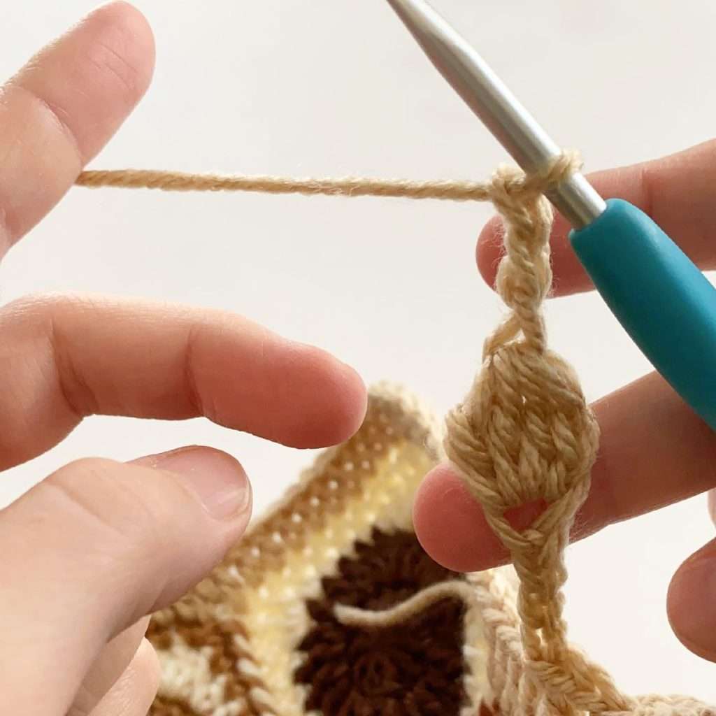 Crochet Pom Pom Border Tutorial and Video