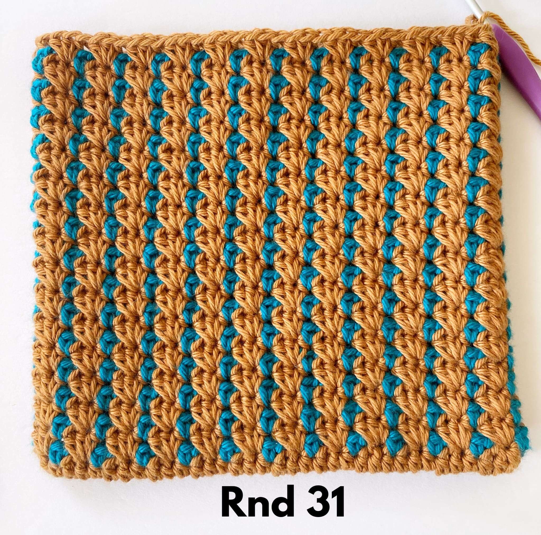 Rnd 31 of the Bejeweled Block Stitch Crochet Potholder