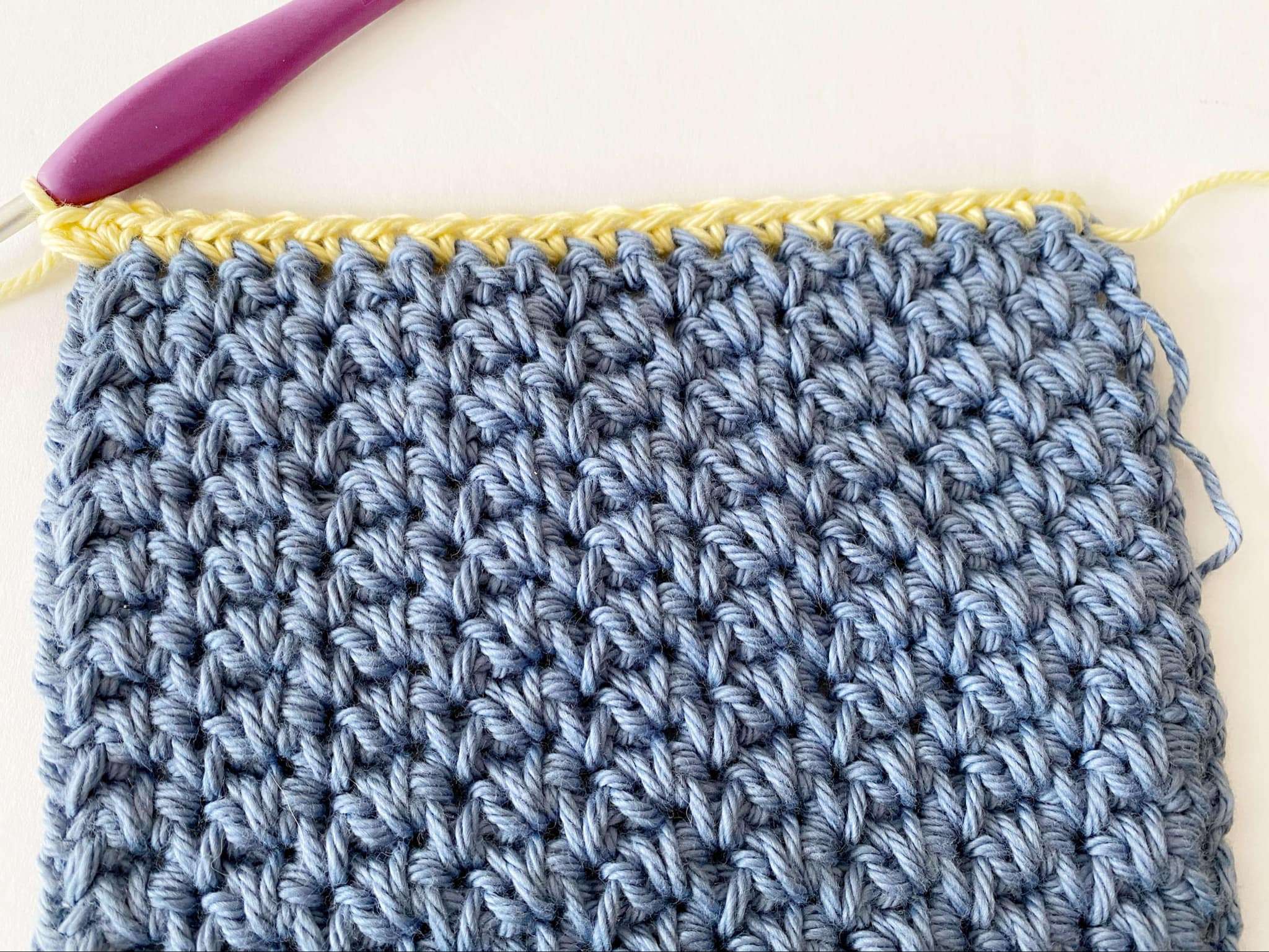 Single Crochet Border around a textured dish cloth