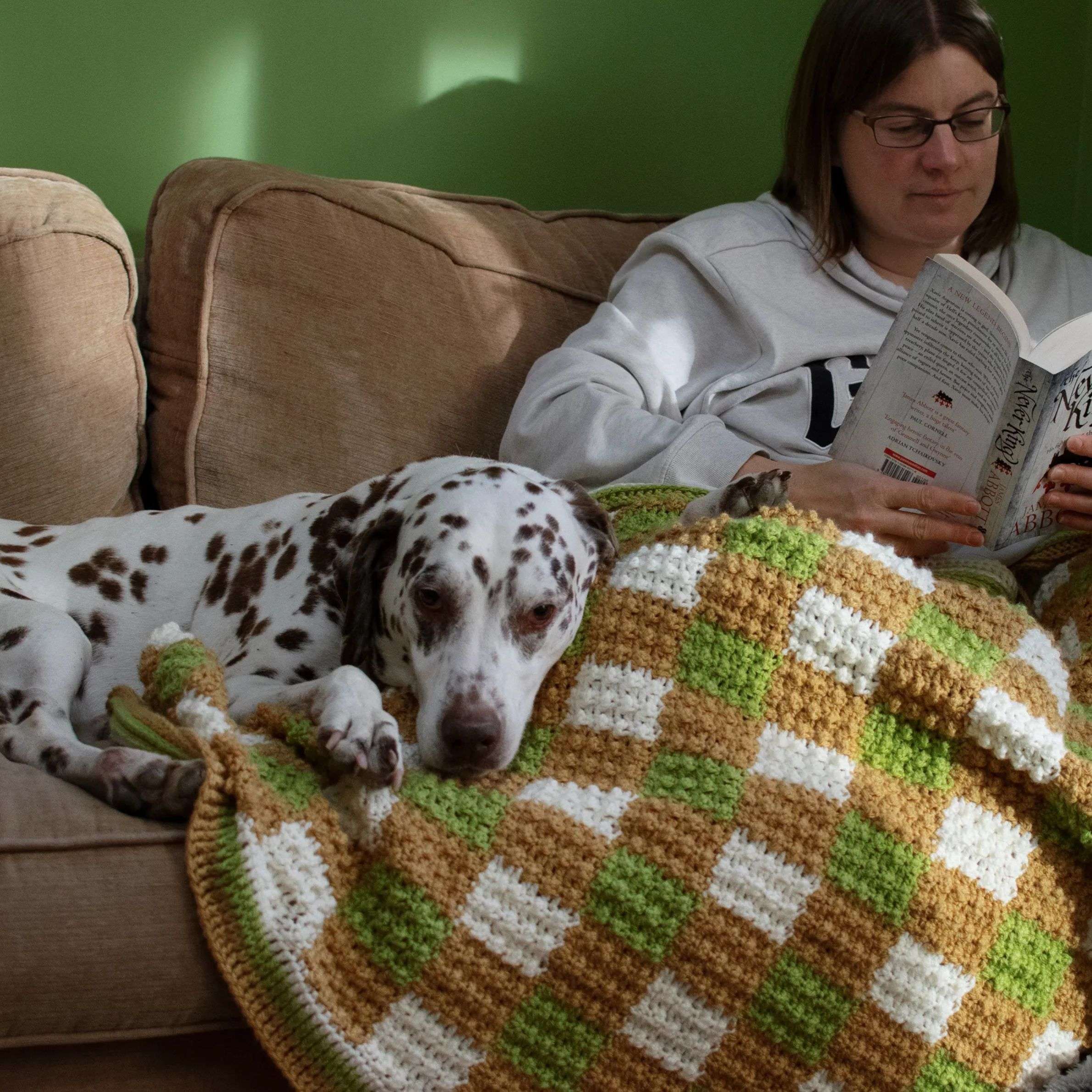 Robin Gingham Fall Blanket by Sunflower Cottage Crochet